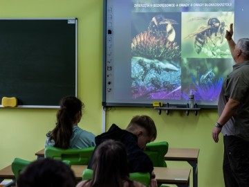 Hotel dla pszczół samotnic w Zespole Szkół Ponadpodstawowych w Przedborzu., 